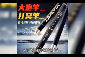 鱼竿排行前十名！#2023dou来钓鱼 #爱生活爱钓鱼视频封面
