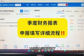 季度财务报表，利润表，资产负债表申报填写全流程#财务报表视频封面
