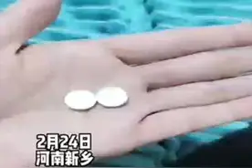 一岁男童误服奶奶一粒降压药，导致意识障碍成植物人@浙江政法 @DOU+小助手 #男童误服降糖药失明失聪 #关爱儿童健康 #社会热点 #愿所有人平安健康视频封面