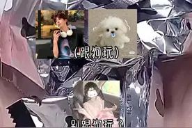 #别跟狗玩了