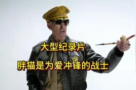 我不要吃菜，我要吃麦当劳，胖猫，他是为爱冲锋的战士！视频封面