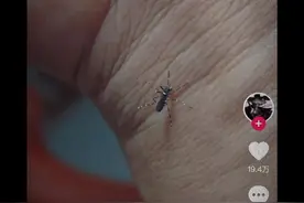 #bro有话说 #抽象 #搞笑 #猎奇 #陈麻杆