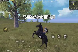 新载具马匹全面讲解！ #和平精英