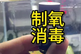 双氧水制氧消毒鱼缸，又给鱼缸升级装备了#观赏虾 #水族