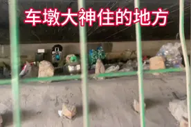 上海车墩大神晚上睡桥洞，白天干日结，干一天玩三天，房费都省了视频封面