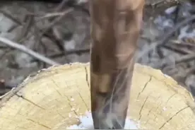 高锰酸钾+白糖合而为一竟然燃烧了#科普 #科学小实验 #热门 @抖音短视频视频封面