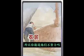 1克花西子相当于900斤小麦，他的价格是小麦的47万倍