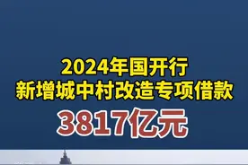 2024年国开行新增城中村改造专项借款3817亿元。视频封面