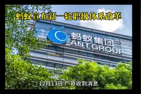 蚂蚁宣布新一轮职级体系改革#蚂蚁 #支付宝 #职业 #工作