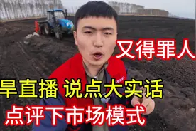 针对东北旱播水稻，聊点得罪人的话 #新农人计划 #三农
