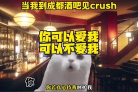 当你去成都酒吧见crush #猫meme #meme视频封面