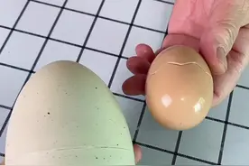 泡水就能孵化的恐龙蛋也太好玩了#这也太可爱了吧 #恐龙玩具 #恐龙蛋的孵化视频封面