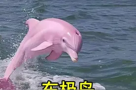 东极旅游攻略。真诚，是必杀技！ 东极岛旅游攻略+船票，来吧 我在岛上等你#东极岛旅游攻略 #内容启发搜索 #旅行推荐官 #海景民宿 #亲子游玩好去处