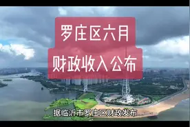 临沂市罗庄区六月财政收支。#罗庄区 #临沂临沂 #城投视频封面