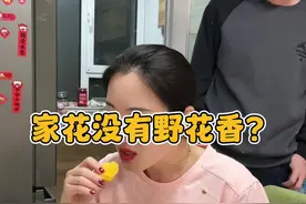 洗脸盆里扎猛子，不知深浅的玩意儿，还家花没有野花香呢！#逗比夫妻日常 #夫妻段子 #有点离谱但很合理 #情感共鸣 @DOU+上热门