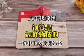 《钢铁是怎样炼成的》八年级同步阅读初中生必读课外书#世界名著