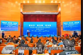 #中国跨境电商产业园发展模式与产业整体规划研究报告 分析报告视频封面