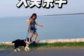 大清河坚守最久女钓手，在这里创造了草鱼、鲤鱼、翘嘴最大的个人纪录，留下很多美好记忆的大清河，明年再见！@东平湖文旅 #原来钓鱼才是抖音运动顶流 #钓鱼人就是这么疯狂 #游钓中国 #保持热爱奔赴山海视频封面