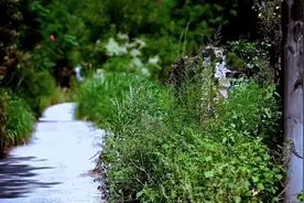 90年代中末期，国有企业为什么纷纷宣布破产重组，管理混乱视频封面