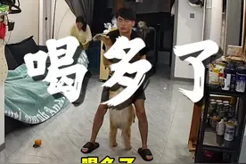 之前的视频，应大家要求从新发一下，不然吃饭没得看了 #狗狗 #金毛 #萌宠 #金毛小年 #养狗的乐趣