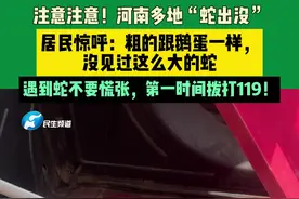 注意注意！河南多地“蛇出没”，居民惊呼：粗的跟鹅蛋一样，没见过这么大的蛇，遇到蛇不要慌张，第一时间拨打119！视频封面