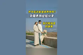 怀孕了还能继续养狗吗？今天说说我们孕期养狗的经验，还有和海星的故事。去年我俩顶着压力孕期养狗，随着六六健康地出生，我俩的心终于放下了。怀孕不是放弃狗狗的理由，相信只要科学养狗，孕期狗狗也可以陪在我们身边！以后海星会陪着六六长大，我们会陪着海星度过他快乐地一生！#孕期养狗 #孕期记录 #孕期知识 #宠物和孩子 #宝宝与狗狗视频封面