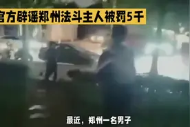 #中视频伙伴计划 官方辟谣郑州法斗主人被罚5千#合法养狗 #辟谣