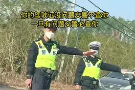 交警不用查你的车也知道你无证驾驶，原来是用的这个系统 #交通安全 #开车技巧 #驾驶技巧 #安全出行 #遵纪守法 @DOU+小助手