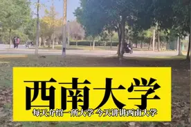 每天介绍一所大学，今天讲讲西南大学#西南大学 #高校 #高考视频封面