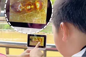 原来蚂蚁放大后长这样！太神奇了 #亲子日常 #微观世界