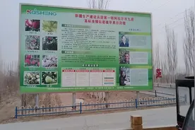 #七彩南疆种植钻石苹果实验区视频封面