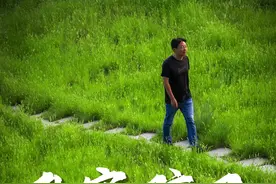 最近吼过孩子吗？  你知道吼完孩子后该怎么办吗？是假装无事发生？还是过去和孩子说些什么？但又该说什么呢？  所有爸妈都用得上，一定要听完。#板牙老王 #育儿经验分享 #不要把孩子吼废了 #吼叫孩子的危害视频封面