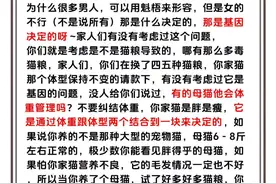 家人们，母猫养不胖是正常的#我和我的猫 #养猫日常 #养猫经验分享 #新手养猫