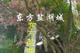 东方盐湖城位于中国道家圣地金坛茅山，以茅山特有的"山、水、茶视频封面