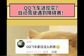 自动驾驶遇《障碍赛》 视频封面