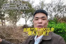 代驾小哥：第一次接这么大的活，1800公里长途代驾郑州到广西北海视频封面