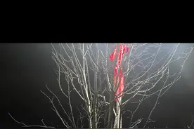 疲惫的一天又结束了，每天忙忙碌碌，虽然很累，但心里踏实，虽然挣得不多，但是每天都还在坚持。人间烟火，更有遗憾，只要今天比昨天好，即使希望生活不在于富足，而在于知足，只要每天开心快乐，其次都只是其次。#起早贪黑忙忙碌碌 #在外漂泊的人 #打工人