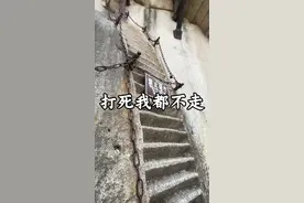华山飞龙梯，打死我都不走了 华山危险的路段，我反正就是看看#华山视频封面