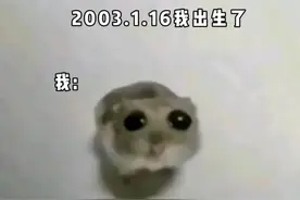 #魔性猫咪表情包 #猫meme视频封面