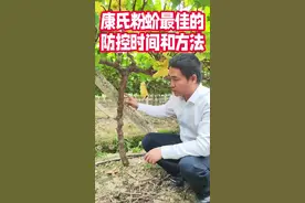 灭康氏粉蚧的最好办法，冬天灭除#致正在为自己的事业努力付出的人 #吃葡萄有什么好处和功效 #新农人计划2023 #关注我每天坚持分享知识 #聚焦三农服务三农