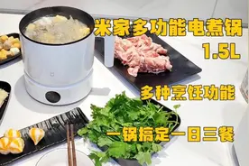 米家多功能电煮锅1.5L多种烹饪功能，一锅搞定一日三餐。