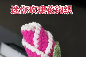 迷你玫瑰花钩织教程，过新年钩一朵简单玫瑰花送给心爱的人吧，超简单哦#手工 #零基础学钩针 #教程 #挂件 #内容启发搜索