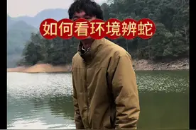 画面中的环境都出现过视屏所说的蛇种 #野外户外 #蛇类科普 #毒蛇咬伤视频封面