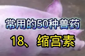 《常用的50种兽药》 18、缩宫素（催产素），5个正确用法，5个错误用法，看完就学会！点赞➕收藏！#创作灵感 #养猪人 #养猪技术 #兽药 #兽医