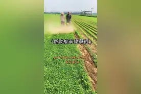 新款发明除草机，省时省力不费劲，松土效果不错#除草神器 #一机多用省时省力省人工