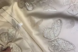 《 SANAYA 奢奈娅》福蝶系列  🦋 2024招财元素是蝴蝶！视频封面