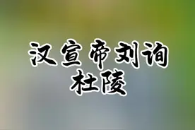 汉宣帝刘询#汉宣帝刘询 #杜陵视频封面