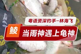 当雨神遇到龟神，果然是狂风暴雨加龟气一片。你们想看飞哥打龟，马上满足大家#钓鱼#鲮鱼#野钓@DOU+小助手 @猎鲮江湖《龟神》视频封面