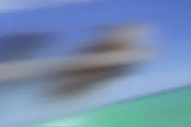 火象和风象真的是一对绝佳的好搭子！ #星座#火象#风象#好搭子