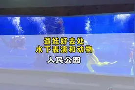 假期商丘必打卡之人民公园海洋馆、动物园 特惠票来了！